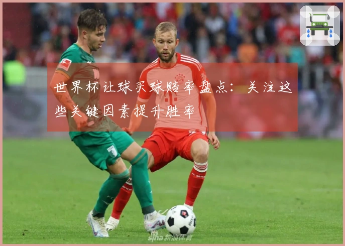 世界杯让球买球赔率盘点：关注这些关键因素提升胜率