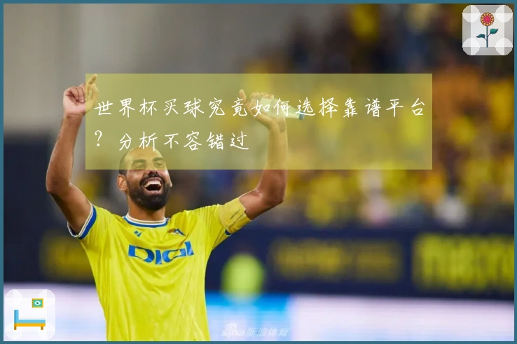 世界杯买球究竟如何选择靠谱平台？分析不容错过