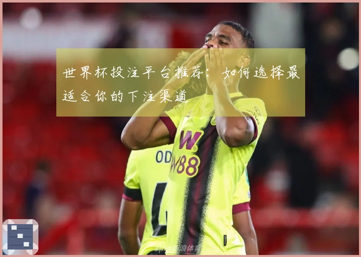 世界杯投注平台推荐：如何选择最适合你的下注渠道