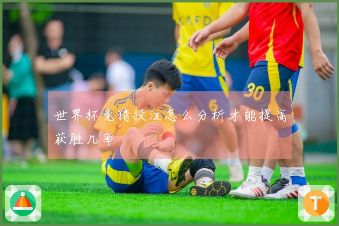 世界杯竞猜投注怎么分析才能提高获胜几率