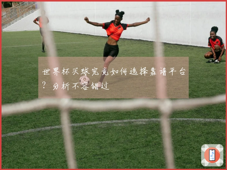 世界杯买球究竟如何选择靠谱平台？分析不容错过