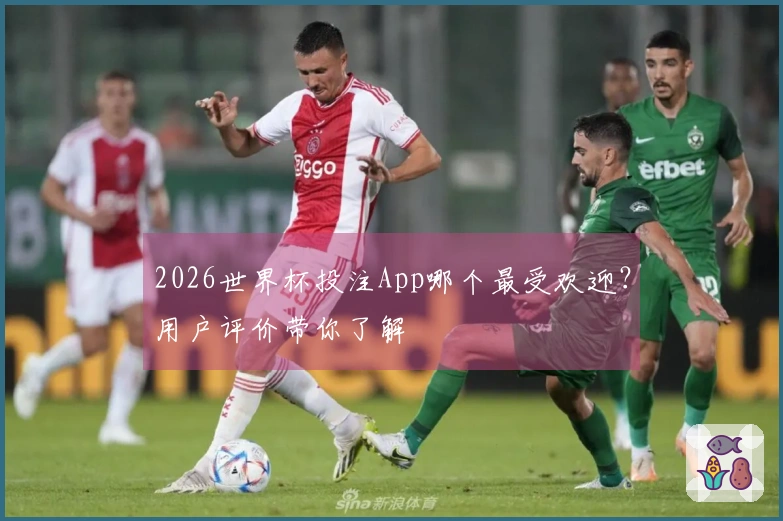 2026世界杯投注App哪个最受欢迎？用户评价带你了解